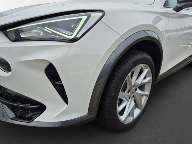 Cupra Formentor 1,5 TSi Navi Allwetter CAM SHZ LED