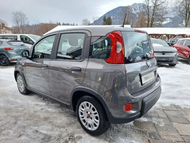 Fiat Panda Base