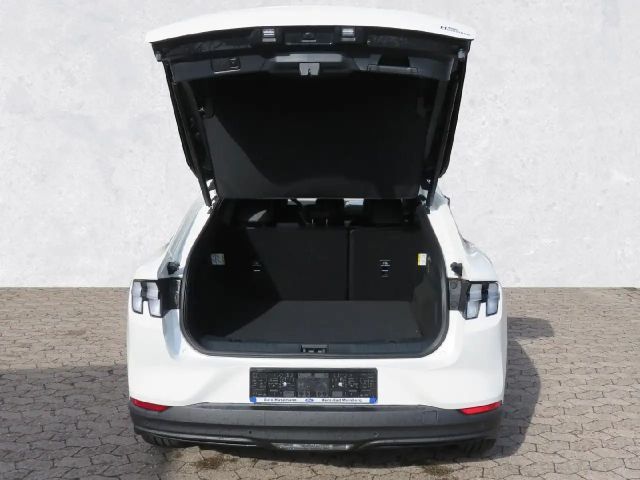 Ford Mustang Mach-E Basis