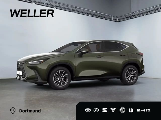 Lexus NX Executive Line