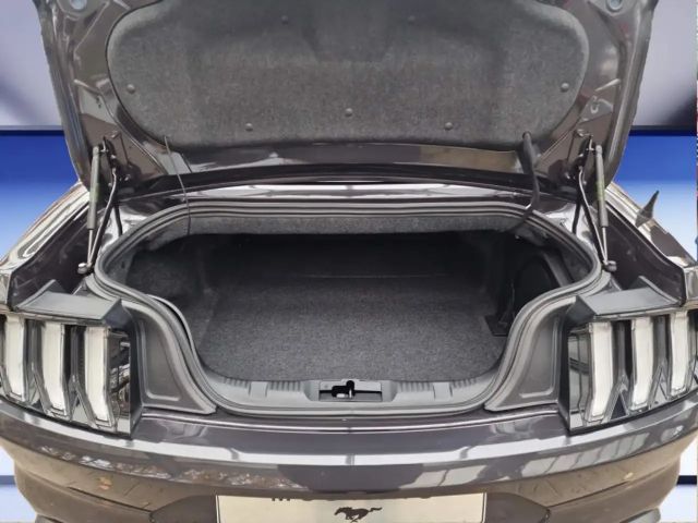 Ford Mustang Convertible GT 5.0 V8