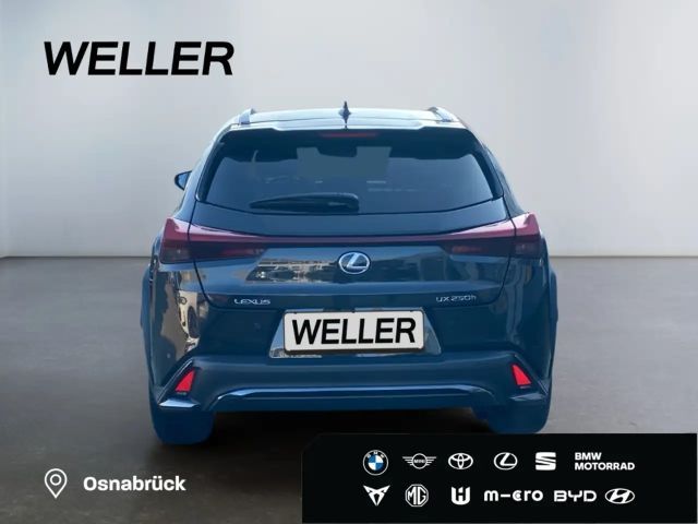 Lexus UX 250h F Sport Sport