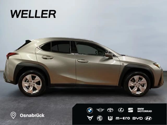 Lexus UX 250h F Sport Sport