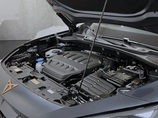 Cupra Formentor 2.0 TSI 4Drive DSG VZ