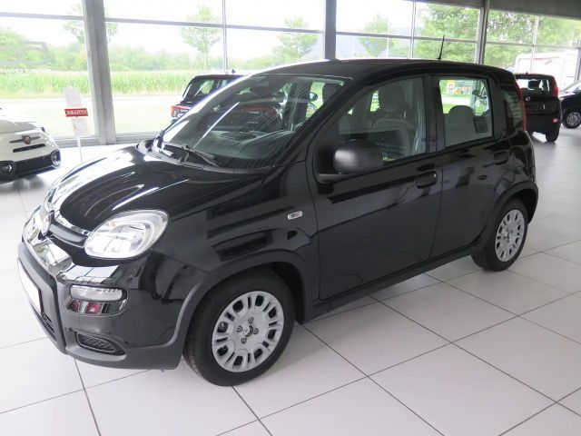Fiat Panda Pandina