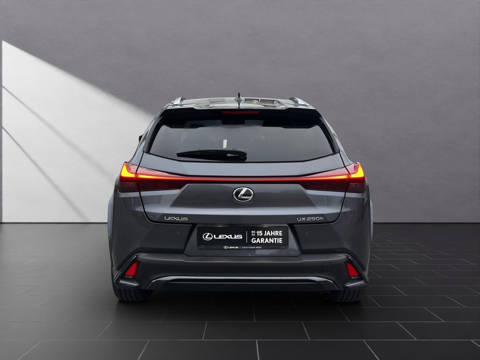 Lexus UX 250h F Sport Sport