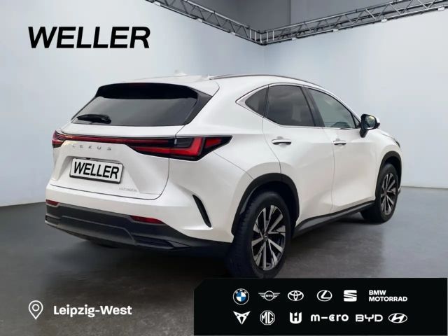 Lexus NX Business Line