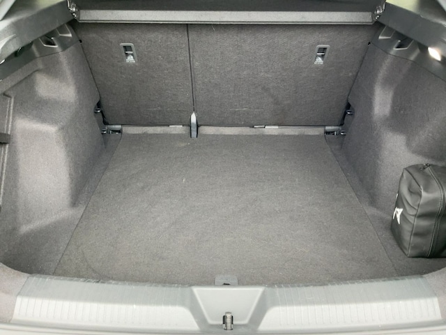 Cupra Tavascan Endurance