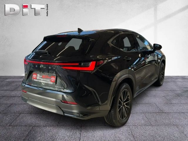 Lexus NX Executive Line