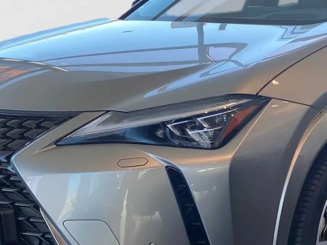 Lexus UX Luxury Line