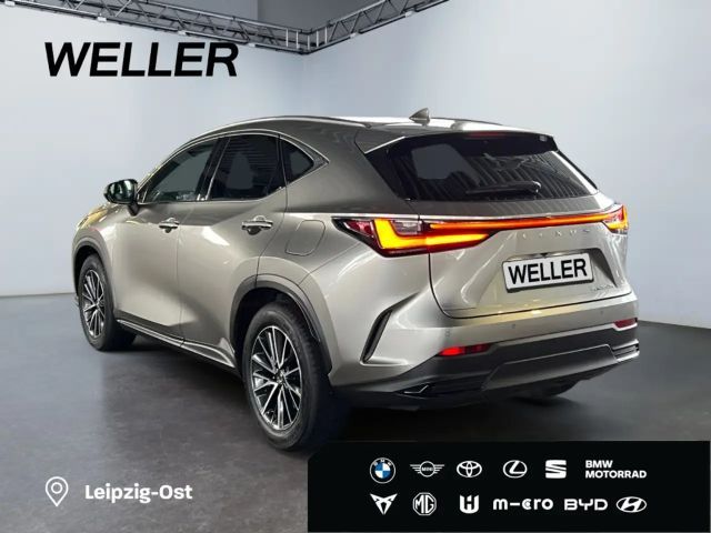 Lexus NX Executive Line