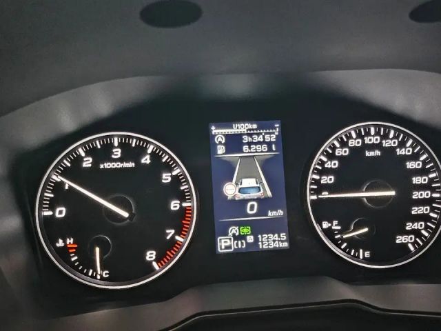 Subaru Outback Platinum H&K*Kamera*DAB*Abst*Navi*BT*El.