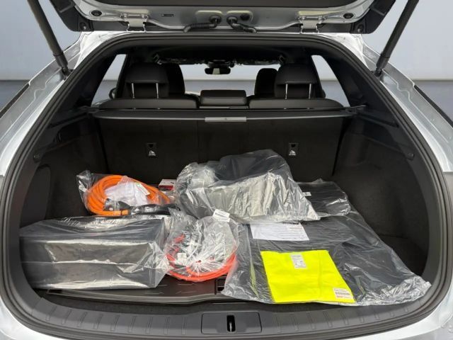 Lexus RX-Serie 450h Business Line