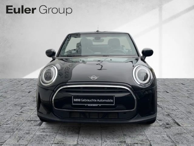 MINI Cooper Cabrio HUD Navi Plus LED Apple CarPlay PDC v+h SHZ DAB Wi