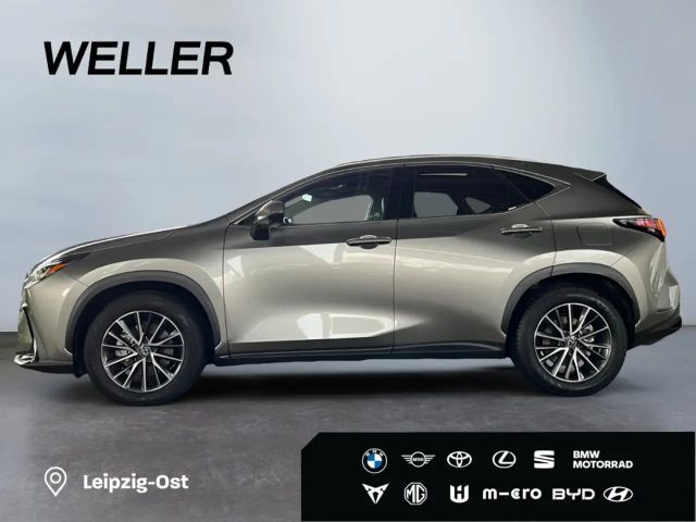 Lexus NX Executive Line
