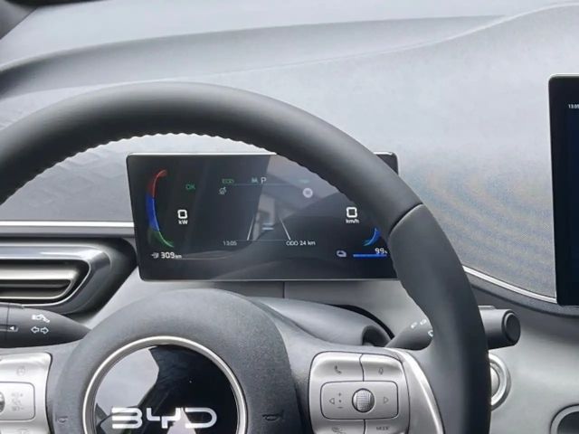 BYD Dolphin Surf Boost