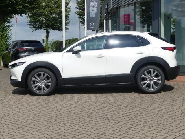 Mazda CX-30 2.5L SkyActiv e-Skyactiv