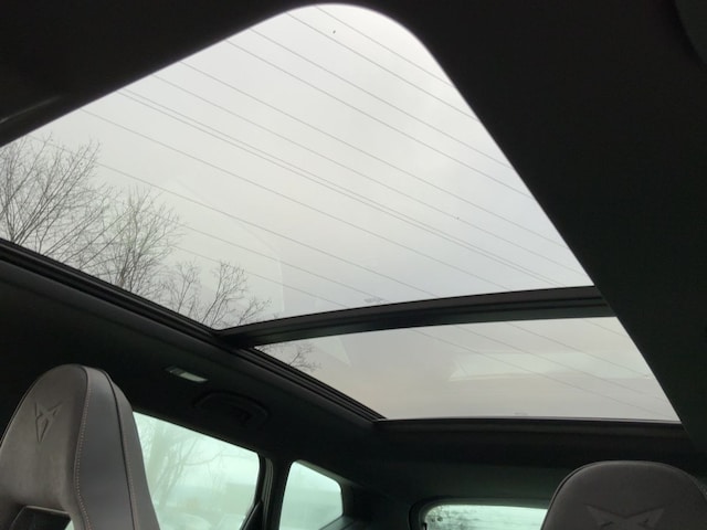 Cupra Ateca 2.0 TSI DSG VZ