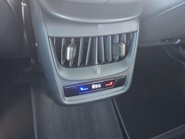 Cupra Tavascan Endurance