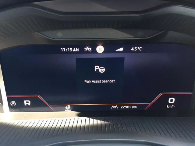 Skoda Scala Monte Carlo