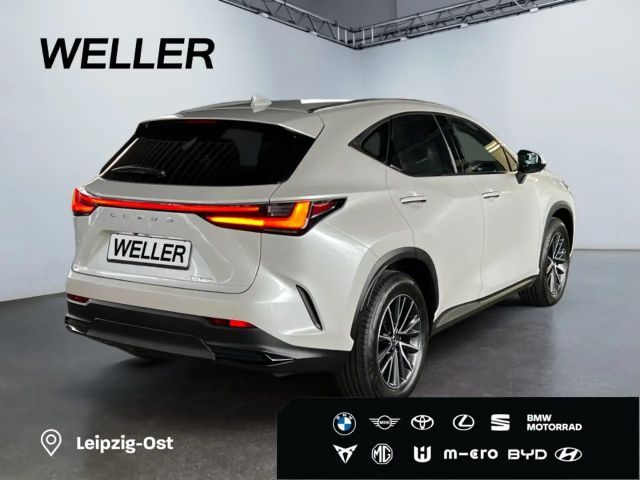 Lexus NX Executive Line