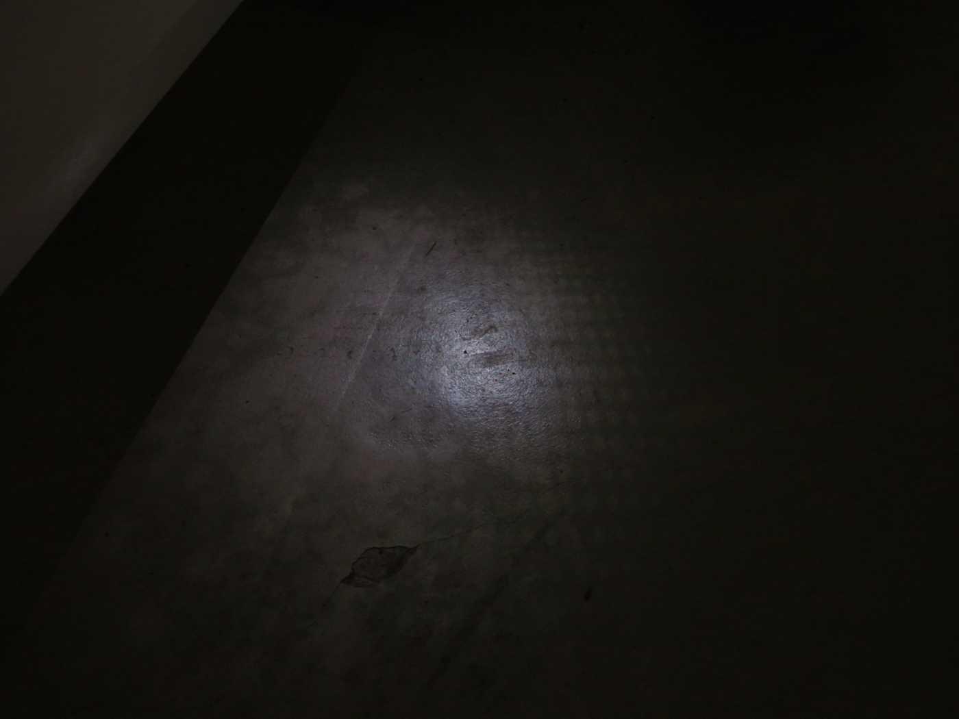 Volkswagen Golf 2.0 TSI GTI Golf VIII