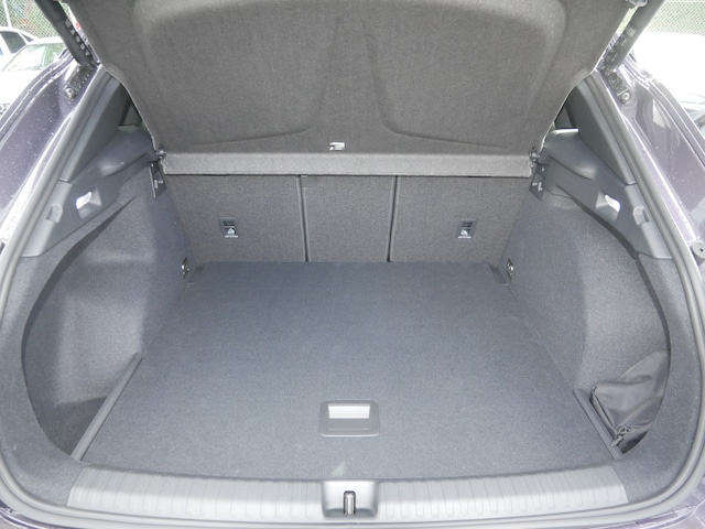 Cupra Terramar 2.0 TSI VZ