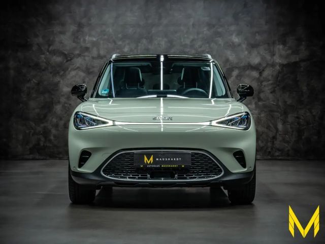 Smart #1 PULSE #368PS #ALLE ANDEREN HABEN KEINE AHNUNG