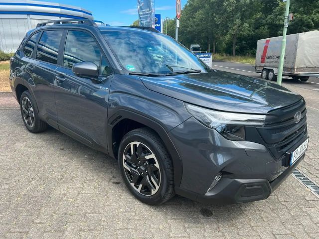 Subaru Forester Exclusive