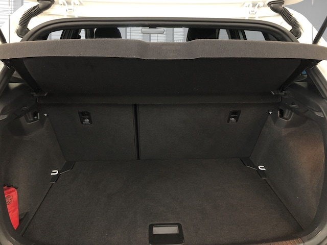 Volkswagen Polo 2.0 TSI DSG