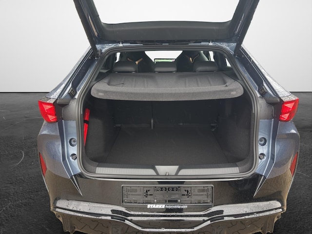 Cupra Tavascan Endurance