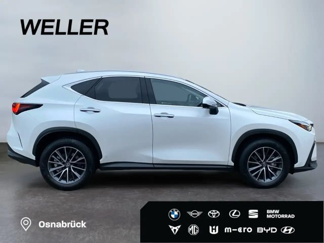 Lexus NX Executive Line