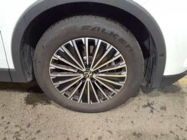 Volkswagen Tiguan 2.0 TDI DSG