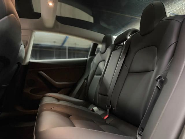 Tesla Model 3 Performance