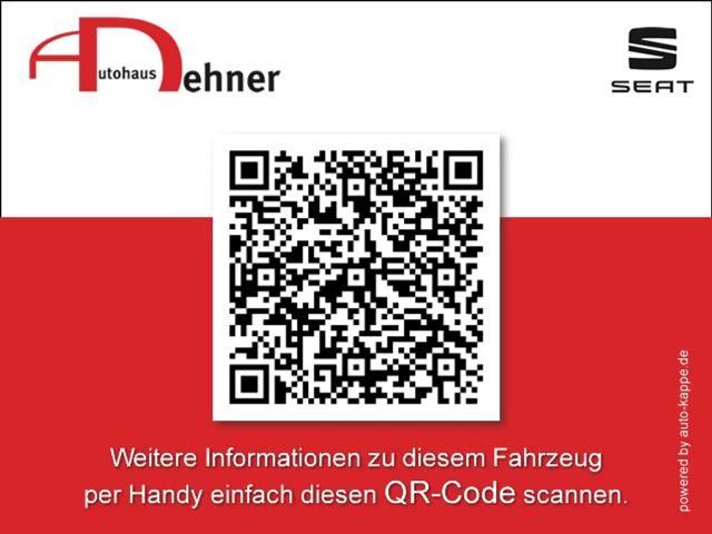 Cupra Tavascan Endurance