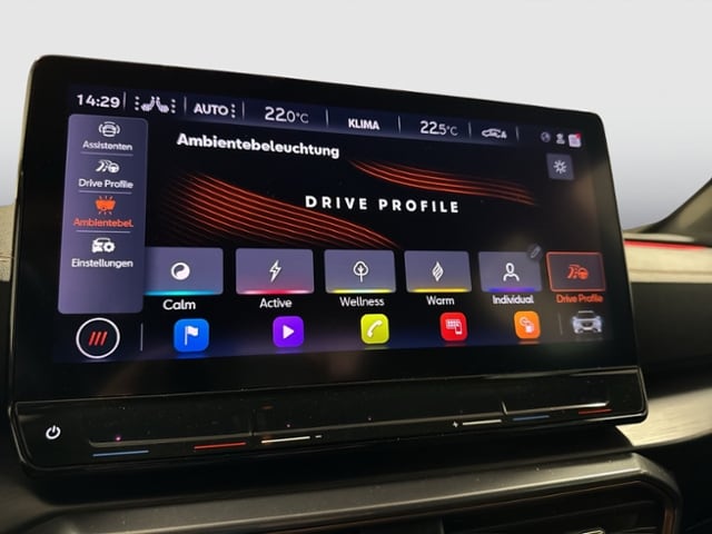 Cupra Formentor 2.0 TSI 4Drive DSG