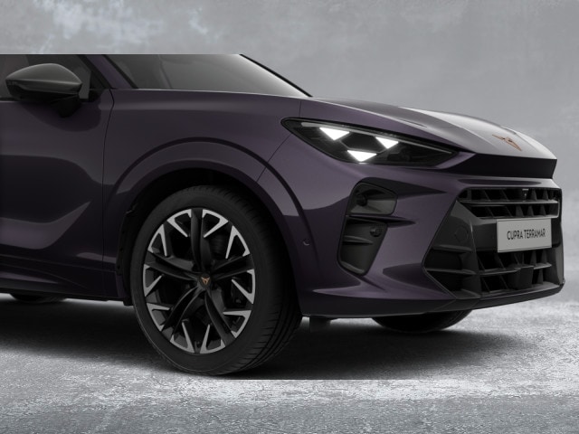 Cupra Terramar e-Hybrid